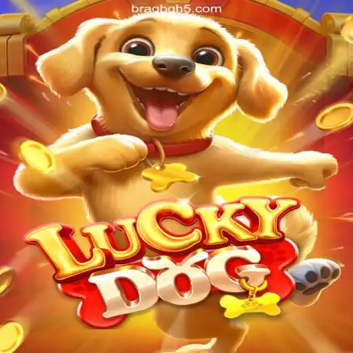 Exploring LuckyDog: The Ultimate Brazilian Betting Experience